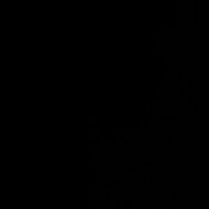 Meet your Posher, Nevaeh